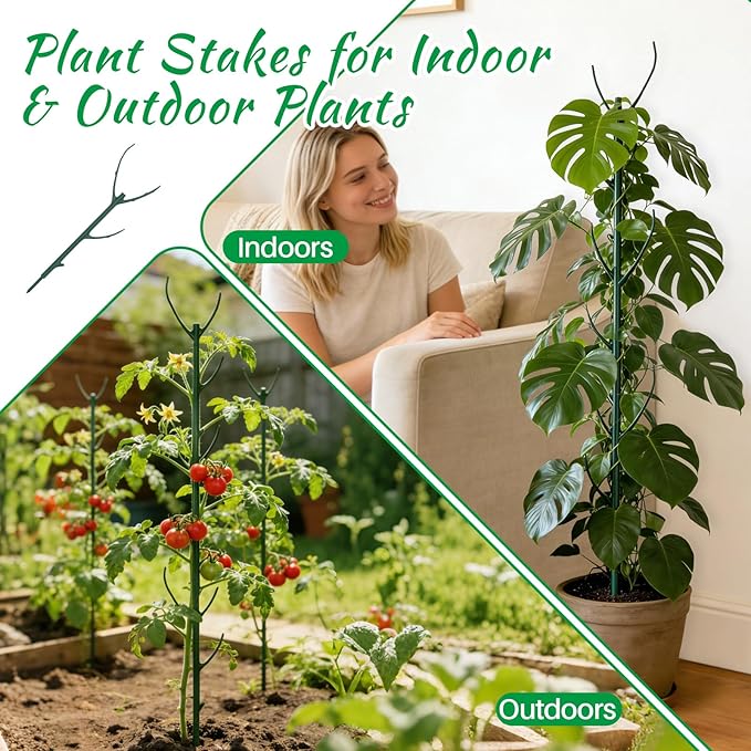 Monstera Plant Support Stakes, 30 Pcs Stackable Plant Support Stakes Sticks Poles for Indoor & Outdoor Plants, Climbing and Potted Plants, Stem Supports, Pothos