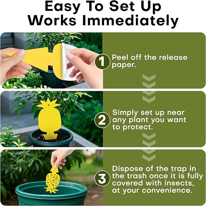 60 Pcs Gnat Traps for House Indoor Fruit Fly Traps Fungus Gnat Traps Yellow Sticky Traps for Plant Gnats No Harm and Odorless for Indoor Outdoor Use
