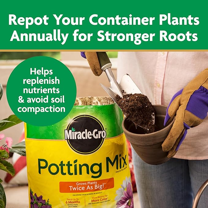 Miracle-Gro Potting Mix - Potting Soil for Vegetables, Flowers, Annuals, Perennials, Shrubs and Other Container Potted Plants, Feeds up to 6 Months, 50 qt. (39-Bag Pallet)
