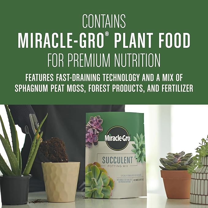 Miracle-Gro Succulent Potting Mix - Potting Soil Mix for Indoor Succulents, Aloe Vera and More, Made with Miracle-Gro Plant Food, 4 qt.