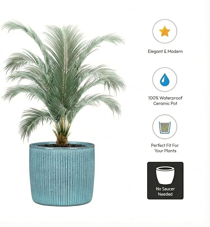 SCHEURICH Set of 2 Solido Linea Lagoon Ceramic Planters – 5.9" Decorative Pots for Indoor Plants - Waterproof&UV-Resistant - Elegant Relief Texture - Made in Germany, Modern Home&Office Decor - 0.5 gl
