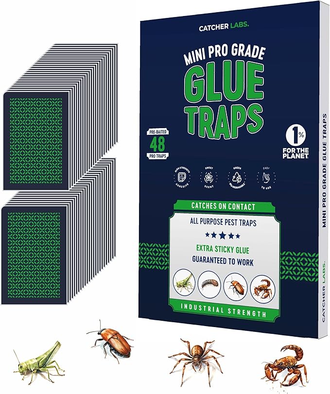 Catcher Labs Mini Insect Traps (48 Traps) | Extra Sticky Pre-Baited Glue Boards, Trap & Kill Most Crawling Insects and Bugs