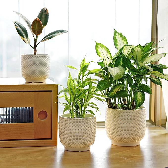 4 + 5 + 6 Inch Ceramic Pots for Indoor Plants, Succulents Plant Pots, Orchid Flower Pot with Drainage Hole, Modern Clay Stoneware Planters, Set of 3 (Milk White, 4+5+6 Inch)