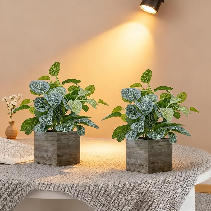 2 Pack 12" Medium Eucalyptus Fake Plants, Artificial Plants Indoor with 4 Inch Wooden Planters, Faux Potted Plants for Home Decor, Desk, Shelves, Desktop, Coffee Table, Bedroom