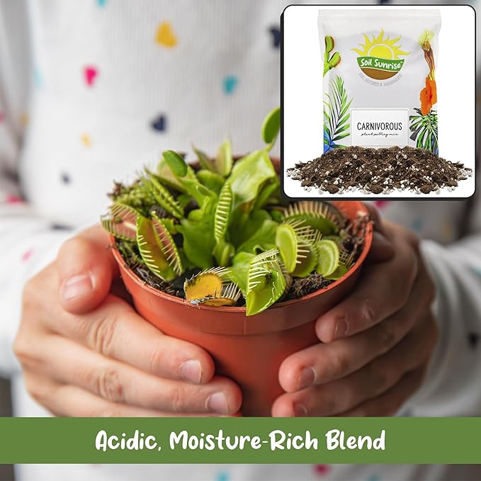 Soil Sunrise Carnivorous Plant Potting Soil Mix (8 Quarts) Ideal Additive for Venus Fly Traps, Sundews, and Pitcher Plants