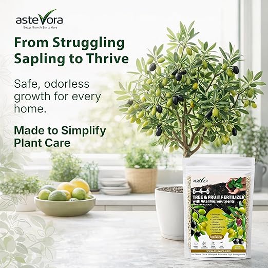 Olive Tree Fertilizer – Fruit Tree Fertilizer for Olive Tree, Citrus, Lemon, Lime, Fig, Avocado, Mango, Apple & Pomegranate – for Potted & Outdoor Trees (8 oz - 1/2 lbs.)