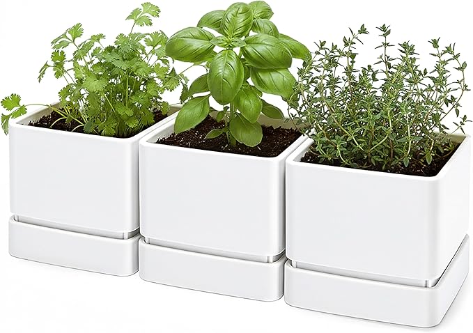 D'vine Dev 6 Inch Herb Planter Pot, Plastic Planter with Drainage Holes and Saucer, Modern Decorative Gardening Pot for Indoor Plants, Flowers, Herbs, Succulents, White, Set of 3, 76-Y-A3-2