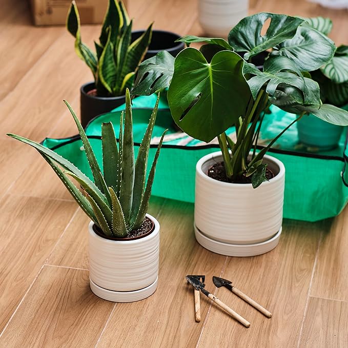 HERDUK 6 + 8 Inch Plant Pots, Ceramic Planter Pot with Drainage Hole & Saucer, Indoor/Outdoor Cylinder Round Planter Pot, Matte White