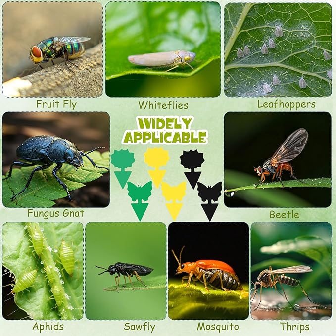 60 Pack Fruit Fly Traps Fungus Gnat Sticky Traps Yellow Black Green Plant Fly Stickers Double Side with Shovel for Indoor Outdoor Kitchen Garden Houseplant Flying Bug Insect (Mixed Style)