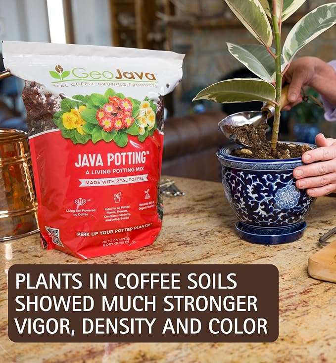Java Potting Soil: A Well Draining, Coffee‑Infused Living Indoor Mix Ready to Grow. for All Monstera, Calathea, Fiddle Leaf Fig, ZZ, Snake, Spider and Pothos Plants; with Chunky Vermiculite. 6 (QT)