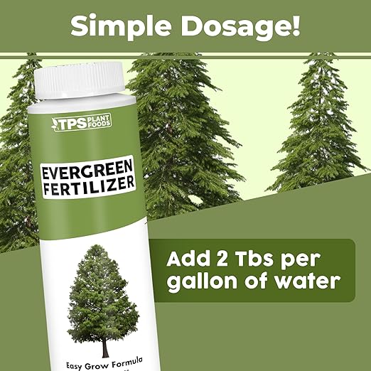 Evergreen Tree Fertilizer – Liquid Plant Food for Rich Green Needles, Stronger Roots & Healthy Year-Round Growth, 8 oz