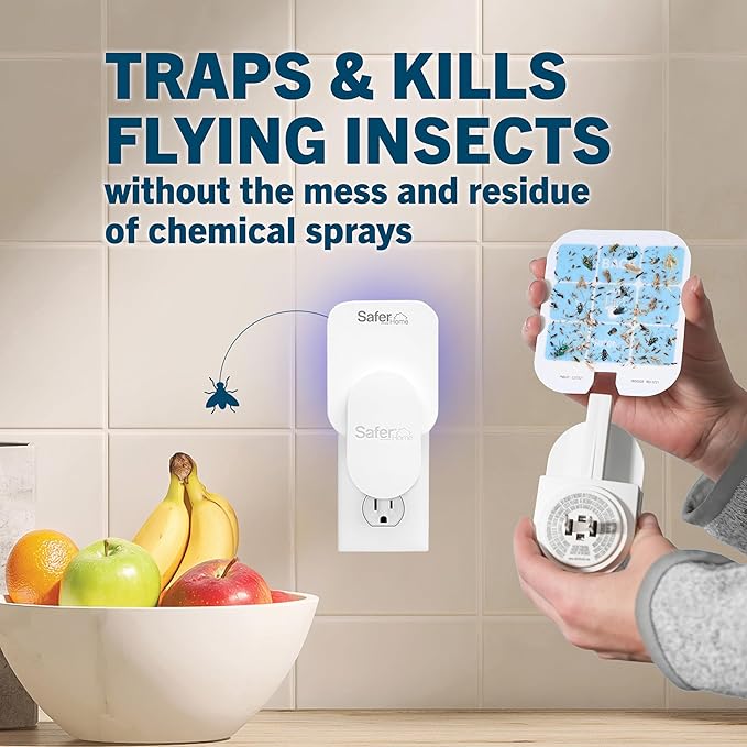 Safer Home SH506 Trap Refill Pack of Glue Cards for SH502 Indoor Fly Trap, Official Safer Home Refills with StickyTech Glue Card Technology, 6 Count (Pack of 1)