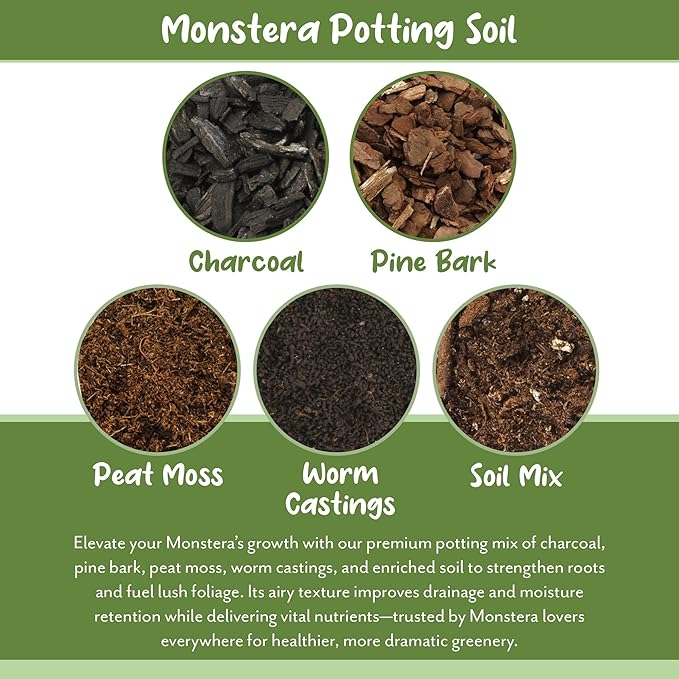 Soil Sunrise Monstera Houseplant Potting Soil Mix (4 Quarts) Custom Blend for Growing and Repotting