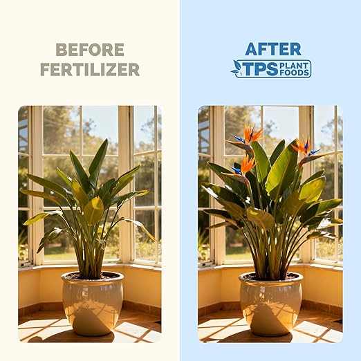 Bird of Paradise Fertilizer – Liquid Plant Food for Bigger Tropical Leaves, Stronger Roots & Healthy Upright Growth, 32 oz
