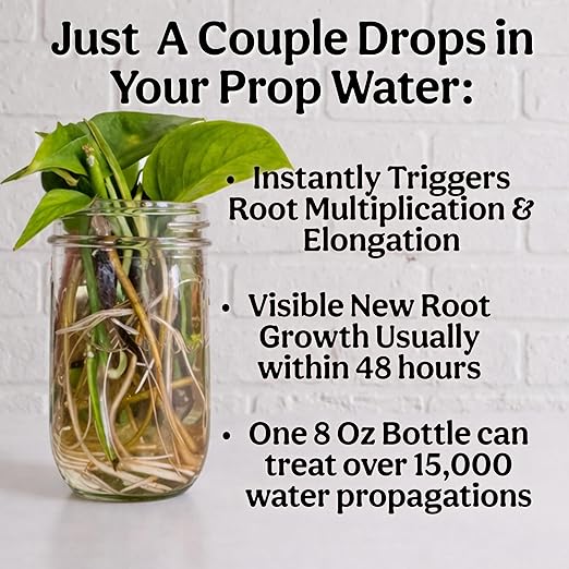 Organic Liquid Kelp & Seaweed Extract Prop Drop (Ecklonia Maxima) – Root + Plant Growth Hormone & Root Plant Food for Water Propagation, Hydroponics & Soil – 16oz 120 Gallons