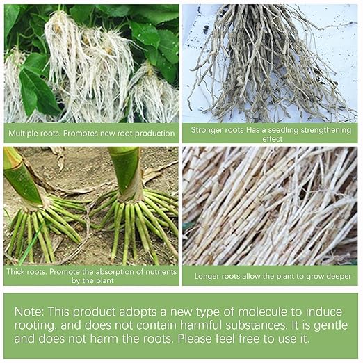 Plant Rooting Powder - Root Growth Stimulator, Cutting Propagation Aid | Clone Starter, Plant Hormons Booster, Soil Amendment, Seed Germination Enhancer, Rapid Rooting Formula for Cuttings & Seedlings