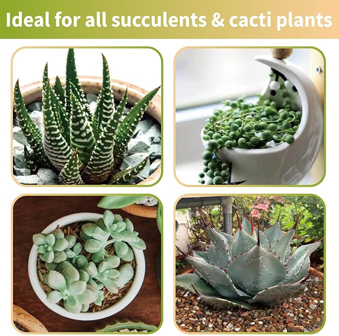 Doter Succulent & Cactus Soil Potting Mix 1qt, Chunky Dirt with Fast Draining Fits for Bonsai, Terrarium and Houseplant