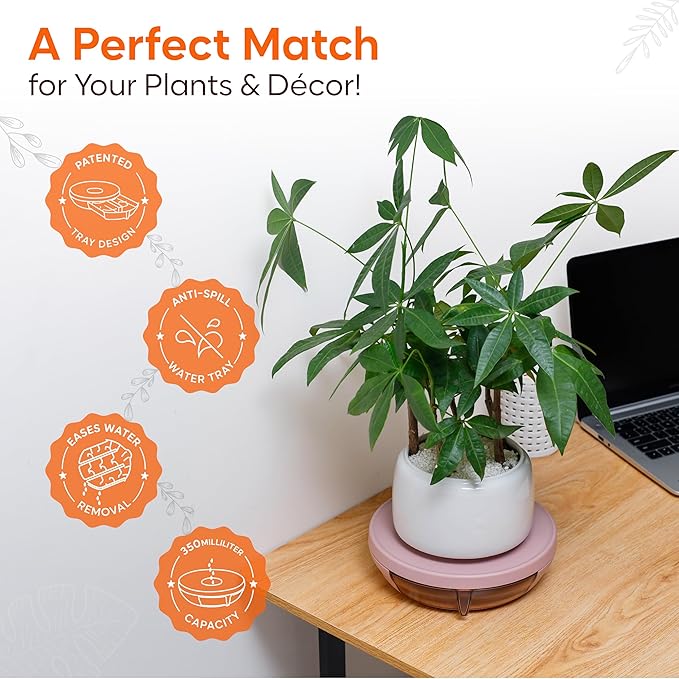 Smart Plants Saucer (Sakura)| Create a Healthy Root Environment | Easy Care for Indoor Plants Base Plant Care | 7.9inch | Water Capacity: 350m L |