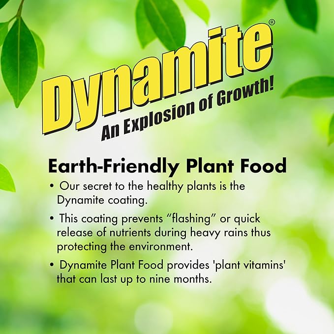 Dynamite Mater Magic - Organic Tomato Fertilizer for Bigger, Juicier Tomatoes and Vegetables, OMRI Listed, Nitrogen and Calcium-Rich Plant Food - .675 Pound Container with Shaker Lid (Pack of 2)