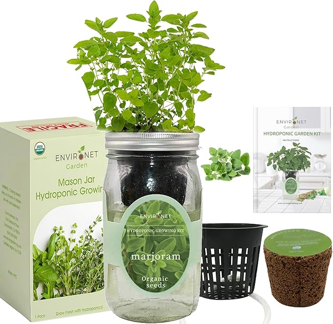 Hydroponic Herb Growing Kit, Self-Watering Mason Jar Herb Garden Starter Kit Indoor, Windowsill Herbs Garden, New Christmas Grden Gift for Mom (Marjoram)