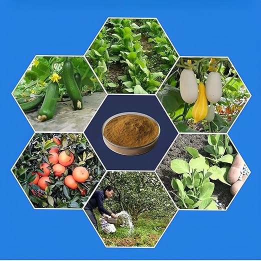 Chitosan Oligosaccharide,Agricultural Grade, Water-SolubleFertilizer, for Plants, Fruits and Vegetables (100g/3.5oz)