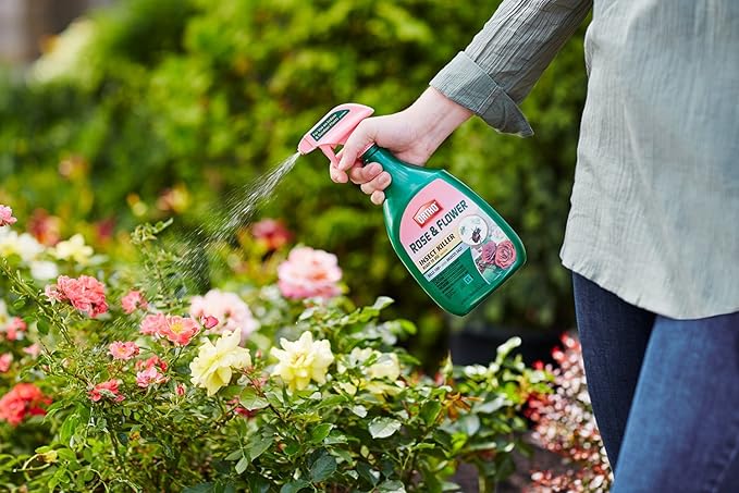 Ortho Rose and Flower Insect Killer, 24-Ounce