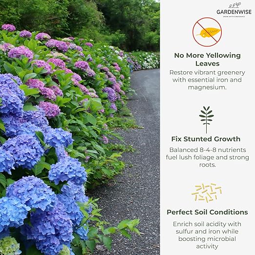 GARDENWISE Slow Release Hydrangea Fertilizer with Iron & Sulfur – Indoor & Outdoor Soil Acidifier for Miracle Growth (1/2 qt)