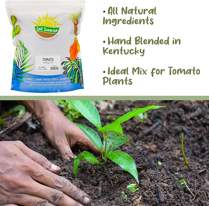 Soil Sunrise All Natural Tomato Starter/Potting Mix (12 Quarts) Perfect Backfill for Outdoor Tomato Plant Holes, Hand Blended with Natural Ingredients Including Worm Castings