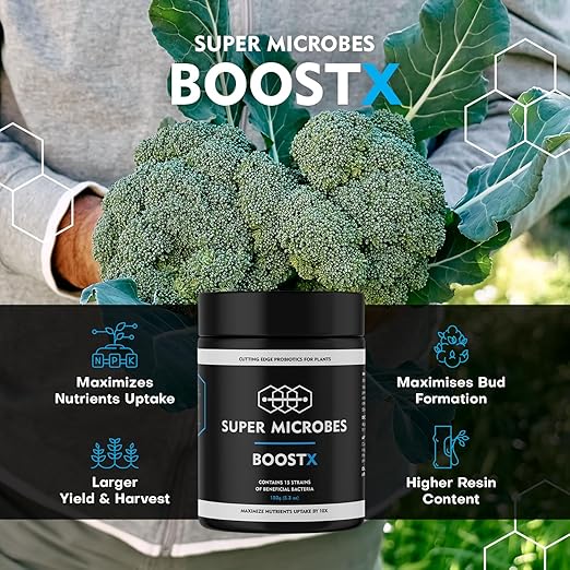 BoostX – Organic Plant Fertilizer | Premium NPK Nutrients for Stronger Plants & Better Flowering | Mycorrhizae & Trichoderma for Improved Growth