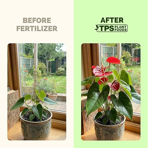Tropical Plant Fertilizer – Liquid Plant Food for Bigger Leaves, Lush Growth & Stronger Roots, 8 oz