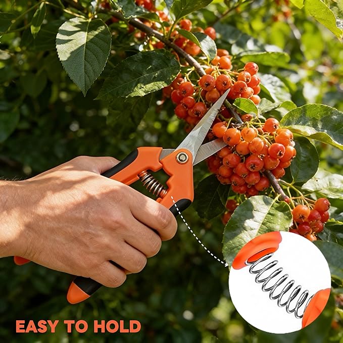 4 Pack Garden Pruning Shears, Stainless Steel Pruning, Stainless Steel Pruning, Pruning Snips, Flower Trimming, Pruning Shears for Gardening Tools