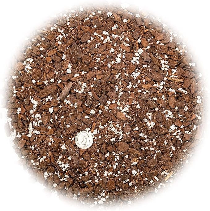 GARDENERA Monstera Obliqua Potting Soil - Enhanced Aeration and Drainage for Optimal Growth by Gardenera - 3 Quart