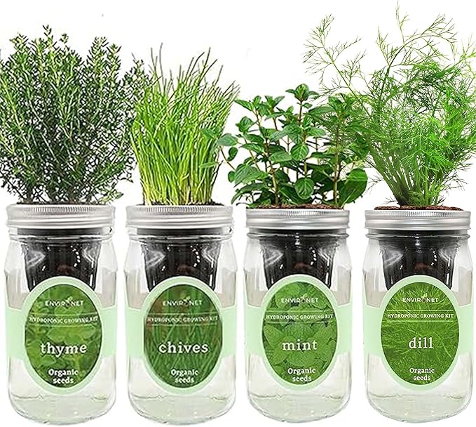 Hydroponic Herb Growing Kit Set, Self-Watering Mason Jar Herb Garden Starter Kit Indoor, New Christmas Gift for Mom (Mint,Thyme,Chives&Dill)