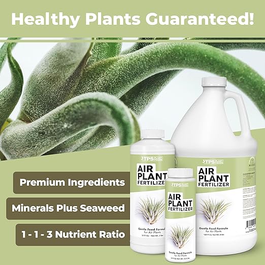 Air Plant Fertilizer - Liquid Plant Food for All Tillandsia Air Plants, Use As Foliar Spray or for Soaking, 32 oz