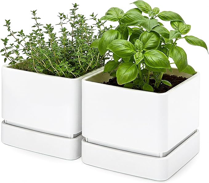 D'vine Dev 6 Inch Herb Planter Pot, Plastic Planter with Drainage Holes and Saucer, Modern Decorative Gardening Pot for Indoor Plants, Flowers, Herbs, Succulents, White, Set of 2, 76-Y-A2-2