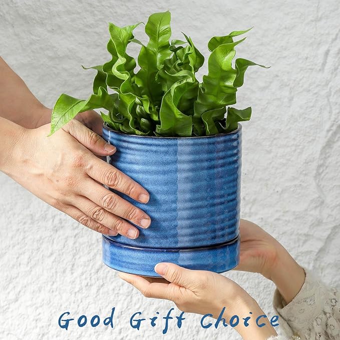 HASENSE 3 Piece Ceramic Plant Pots, 8/6/4.6 Inch, Indoor Pot for Plants with Drainage Holes and Saucer, Modern Flower Planter for Home Office, Blue