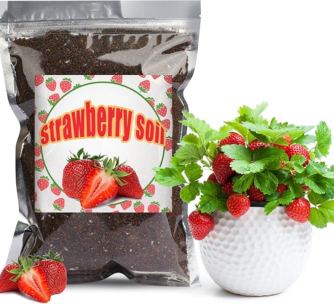 Doter Organic Strawberry Soil Mix 1qt, Indoor Plants Potting Mix for All Potted Strawberry, Grow Healthy houseplants Indoors