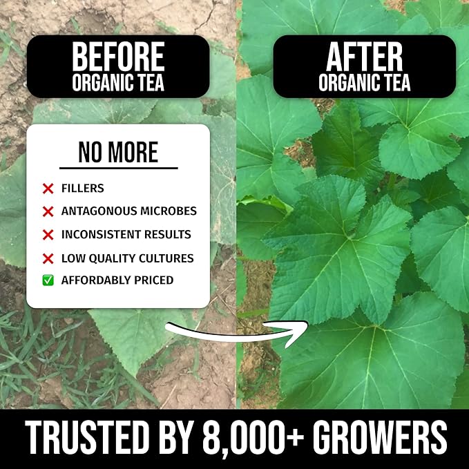Organic Instant Compost Tea (1 lb) – Probiotic Plant Food Bloom Booster & Yield Booster for Hydroponics & All Gardening Types | Microbial Formula Converts Amino Acids for Enhanced Growth (1, Pounds)