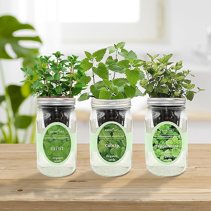 Hydroponic Herb Growing Kit Set, Self-Watering Mason Jar Herb Garden Starter Kit Indoor, New Christmas Gift for Mom (Mint, Peppermint & Catnip)