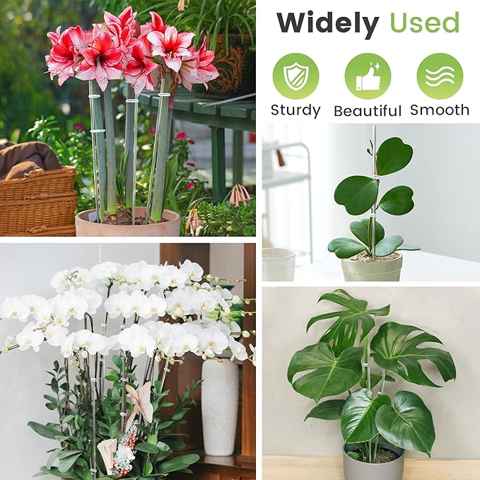 Plant Stakes Acrylic Clear Orchid Support Sticks 20 Pcs with Twist Ties for Grow Upright Holder (15.7 Inch)