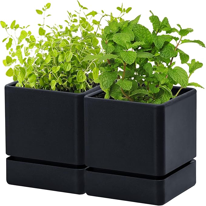 D'vine Dev 4 Inch Herb Planter Pot, Plastic Planter with Drainage Holes and Saucer, Modern Decorative Gardening Pot for Indoor Plants, Flowers, Herbs, Succulents, Black, Set of 2, 76-Y-B2-1