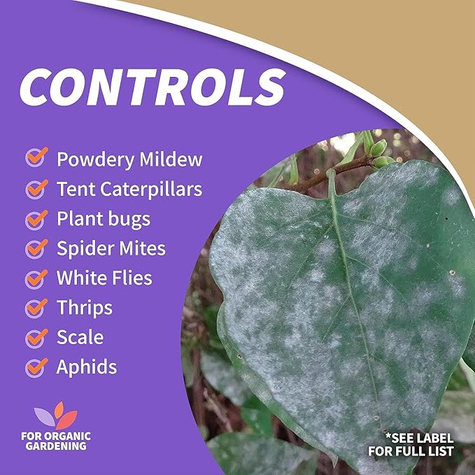 Bonide Insecticidal Soap, 32 oz Ready-to-Use Spray Multi-Purpose Insect Control for Organic Gardening Indoor and Outdoor- Pack of 2