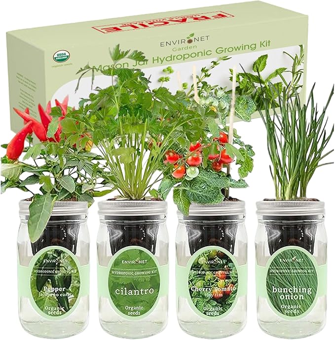 Hydroponic Mason Jar Indoor Garden Organic Seed Starter Kits - Zesty Salsa Growing Kits, Gardening Gift (Jalapeno Pepper, Cilantro, Cherry Tomato - Tiny Tim, Bunching Onion)