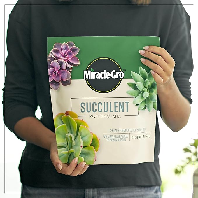 Miracle-Gro Succulent Potting Mix - Potting Soil Mix for Indoor Succulents, Aloe Vera and More, Made with Miracle-Gro Plant Food, 4 qt.