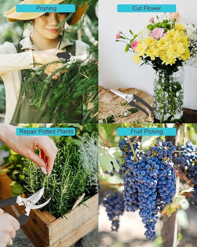 Garden Scissor for Plant, 4 Pcs Floral Scissors, Tip Pruning Shears Bulk for Cutting Flowers, Bonsai, Fruits and Trimming Plants(Black)