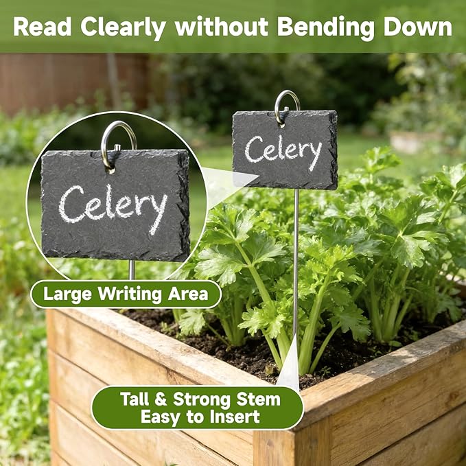 KINGLAKE Large Slate Plant Labels - 10 Pcs Slate Garden Plant Labels Tags with Metal Stakes and Chalk Pencils Tall Garden Plants Markers Signs for Outdoor Plants Vegetables Herb Flower Bed Pots