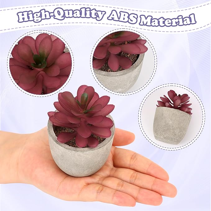 Coitak Artificial Succulent Plants Potted, Assorted Decorative Faux Succulent Potted Fake Cactus Cacti Plants with Pots, Set of 5 (Purple)