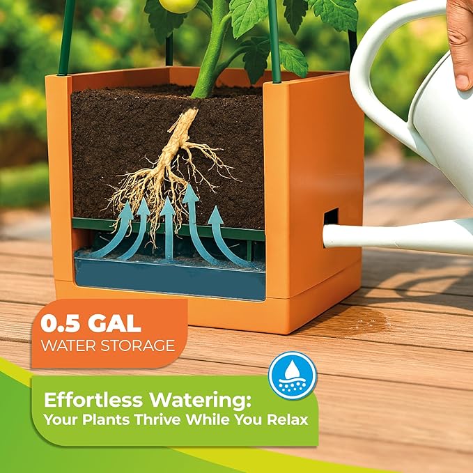 BioGreen 2 Pack Garden Tomato Planter MAXITOM, with Plant Support Trellis 59 inch and Self Watering, 4,2 Gal Planter Box for Climbing Vegetables Plants, Terracotta