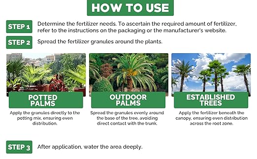 Gardenwise 8-4-8 Professional Palm Tree Fertilizer Plant Food; for Indoor Potted Plants and Outdoor Landscape Palm Trees; Quick-Release Nitrogen Fertilizer and Continuous Feeding (1 Quart)