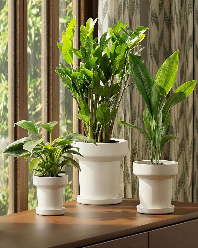 Bamworld 3-Pack Plant Pots Indoor with Drainage 5/6/7 Inch Planters for Indoor Plants Modern Minimalist Flower Pots White